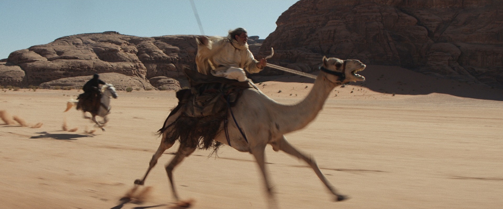 Desert Warrior — frame 14