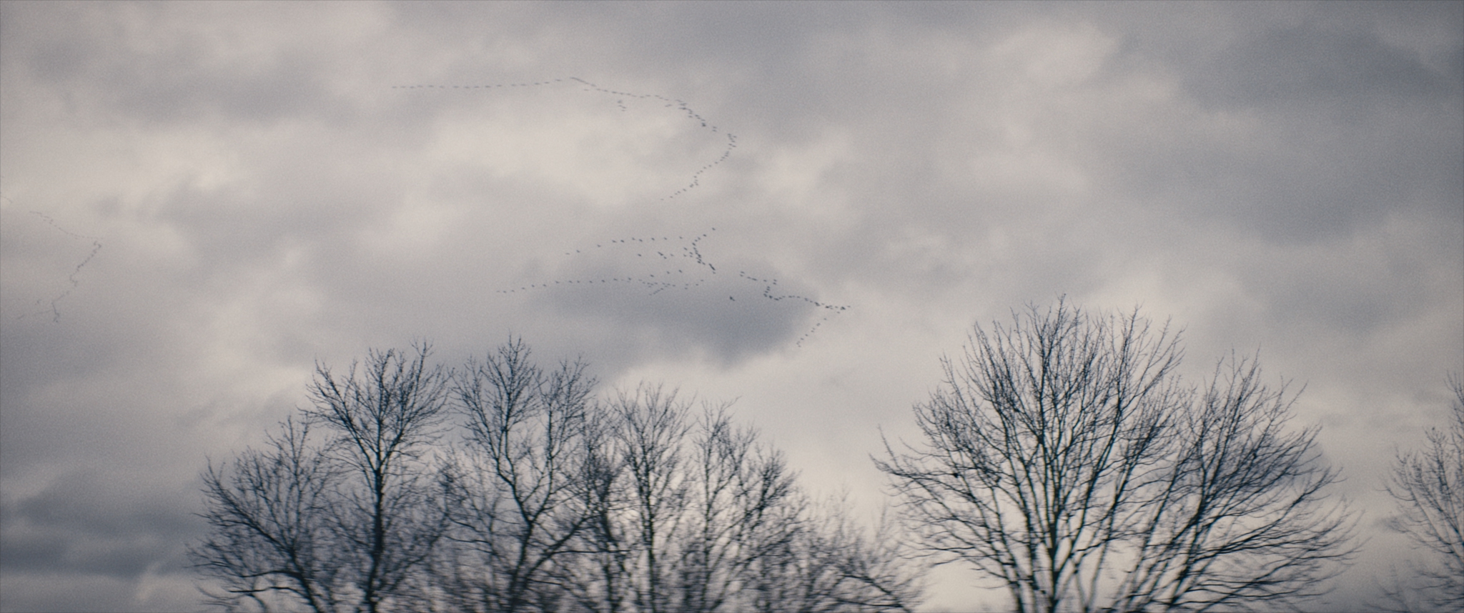Don’t Tell a Soul — frame 14