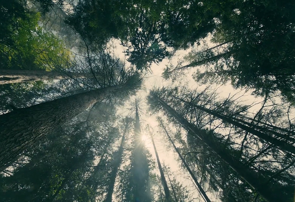 Community — frame 13