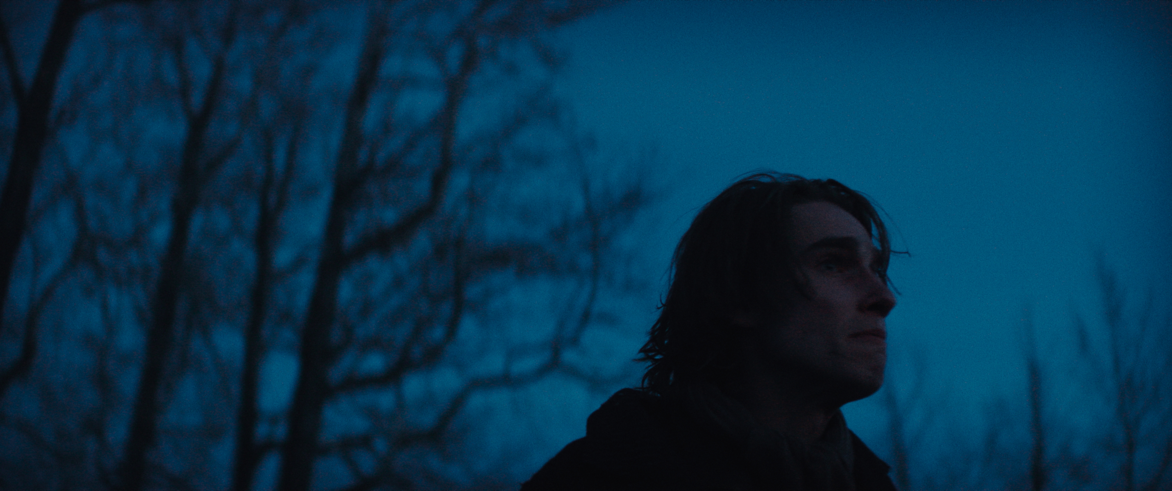 The Thicket — frame 13
