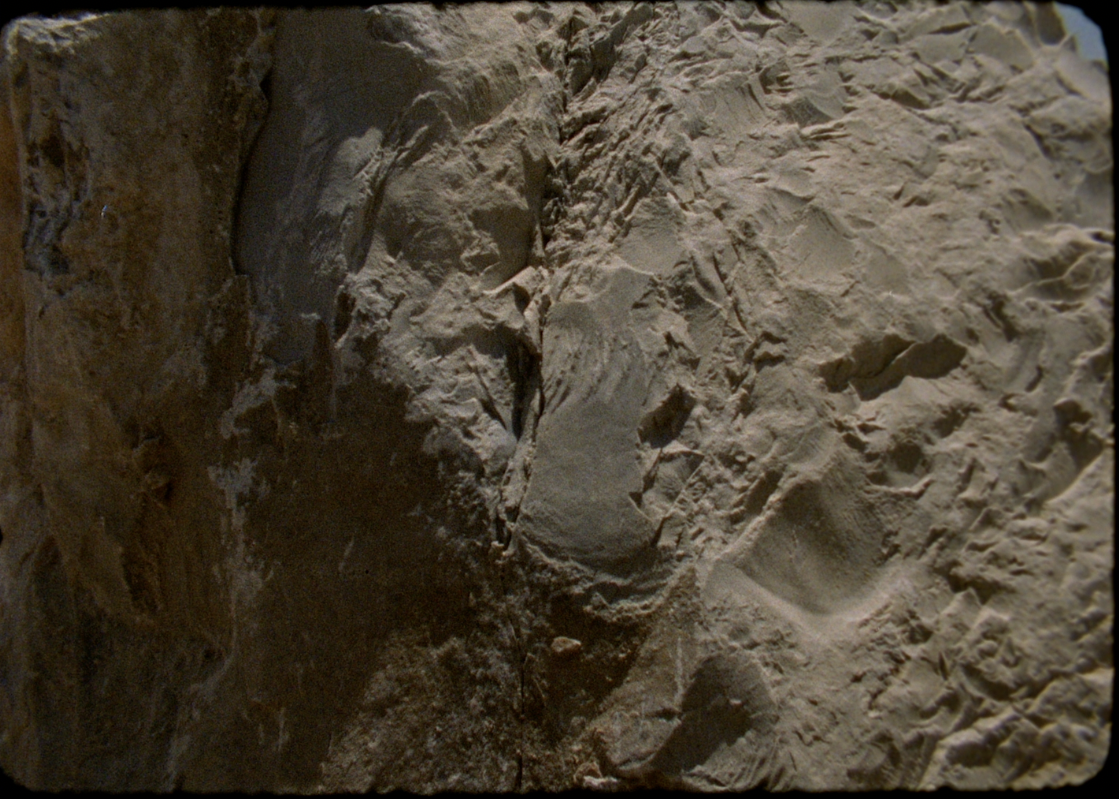 Las Coristas — frame 21