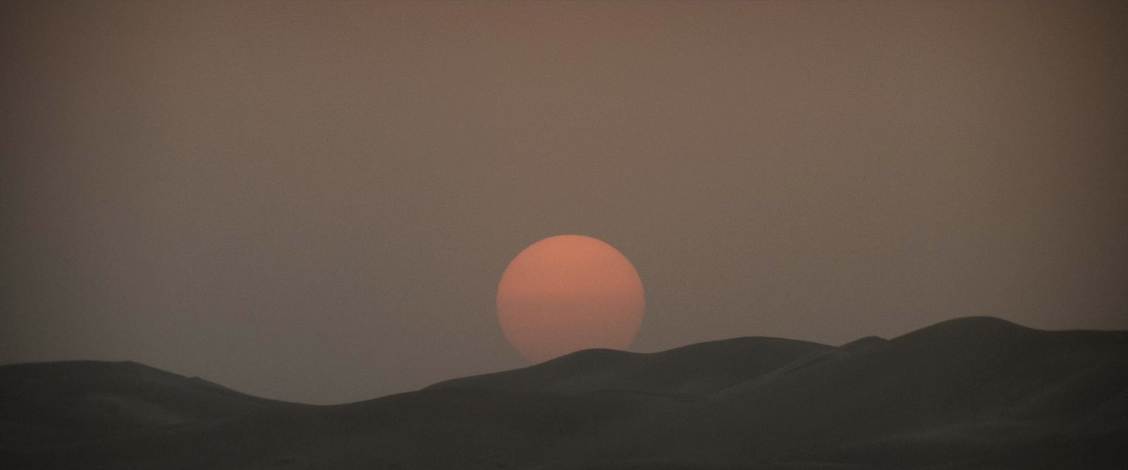 Desert Warrior — frame 9