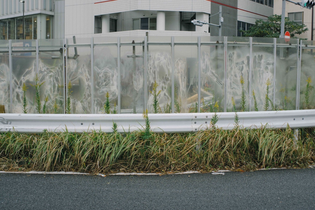 Journal — original image 6