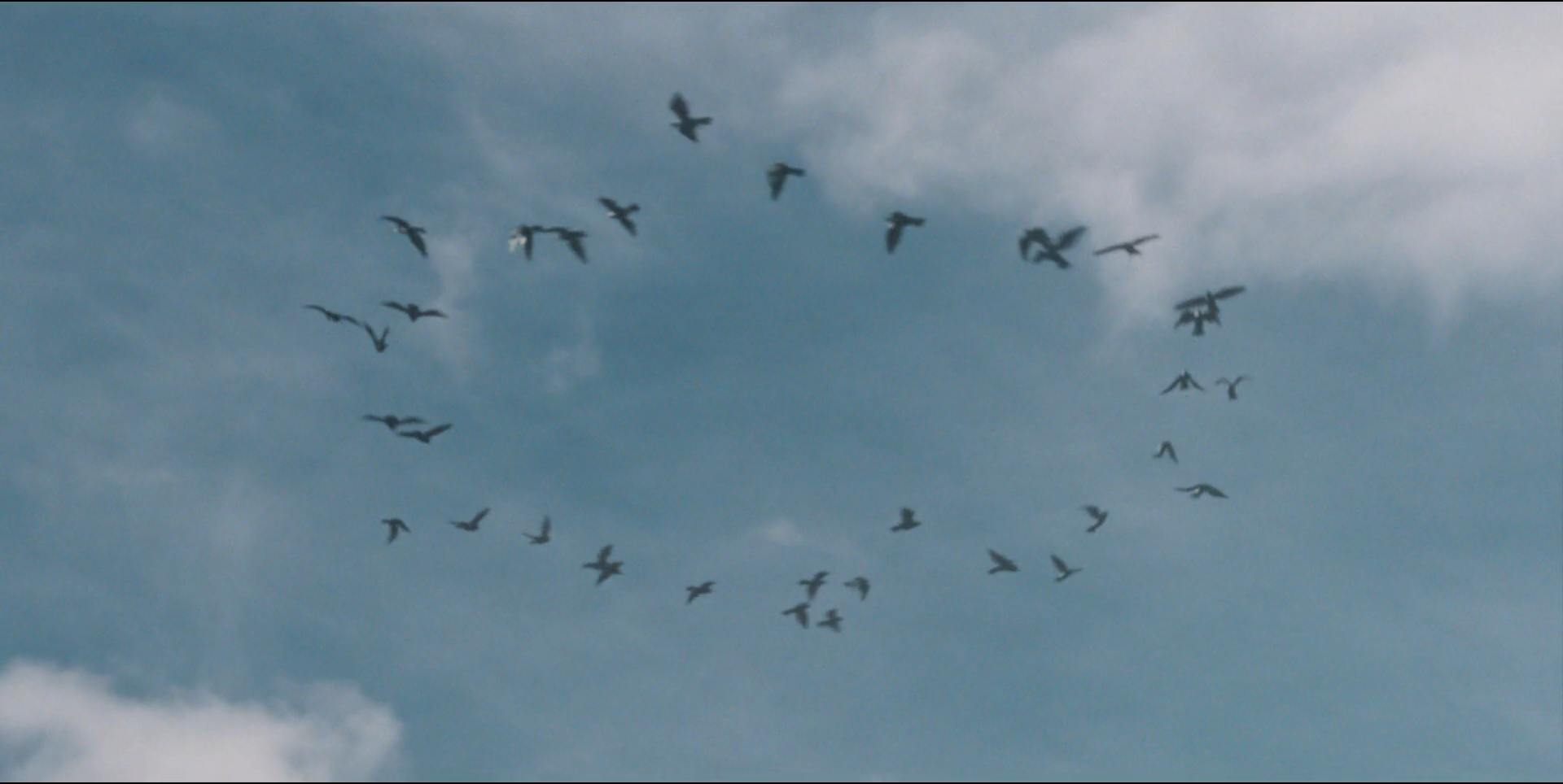 Participaction — frame 1