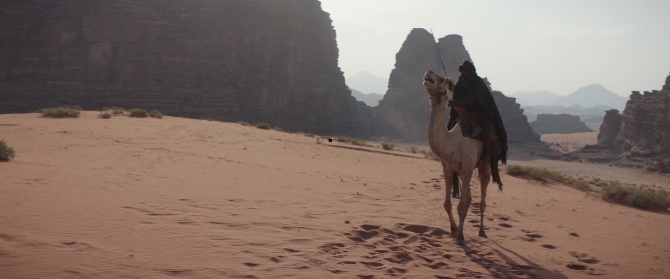 Desert Warrior — frame 18