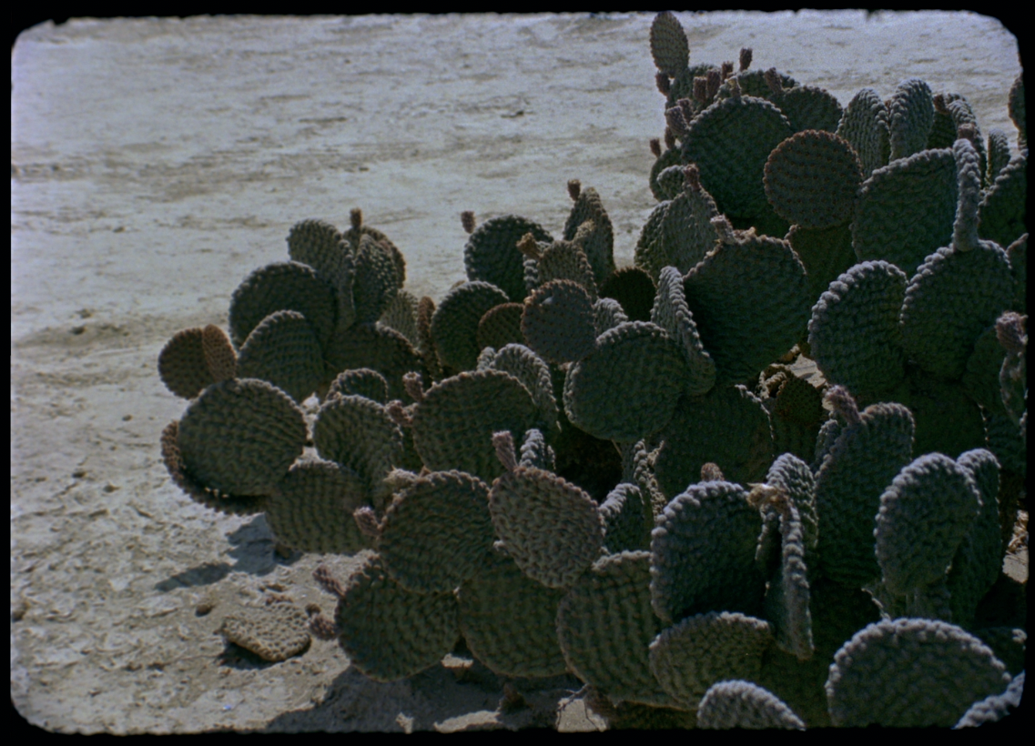 Las Coristas — frame 20
