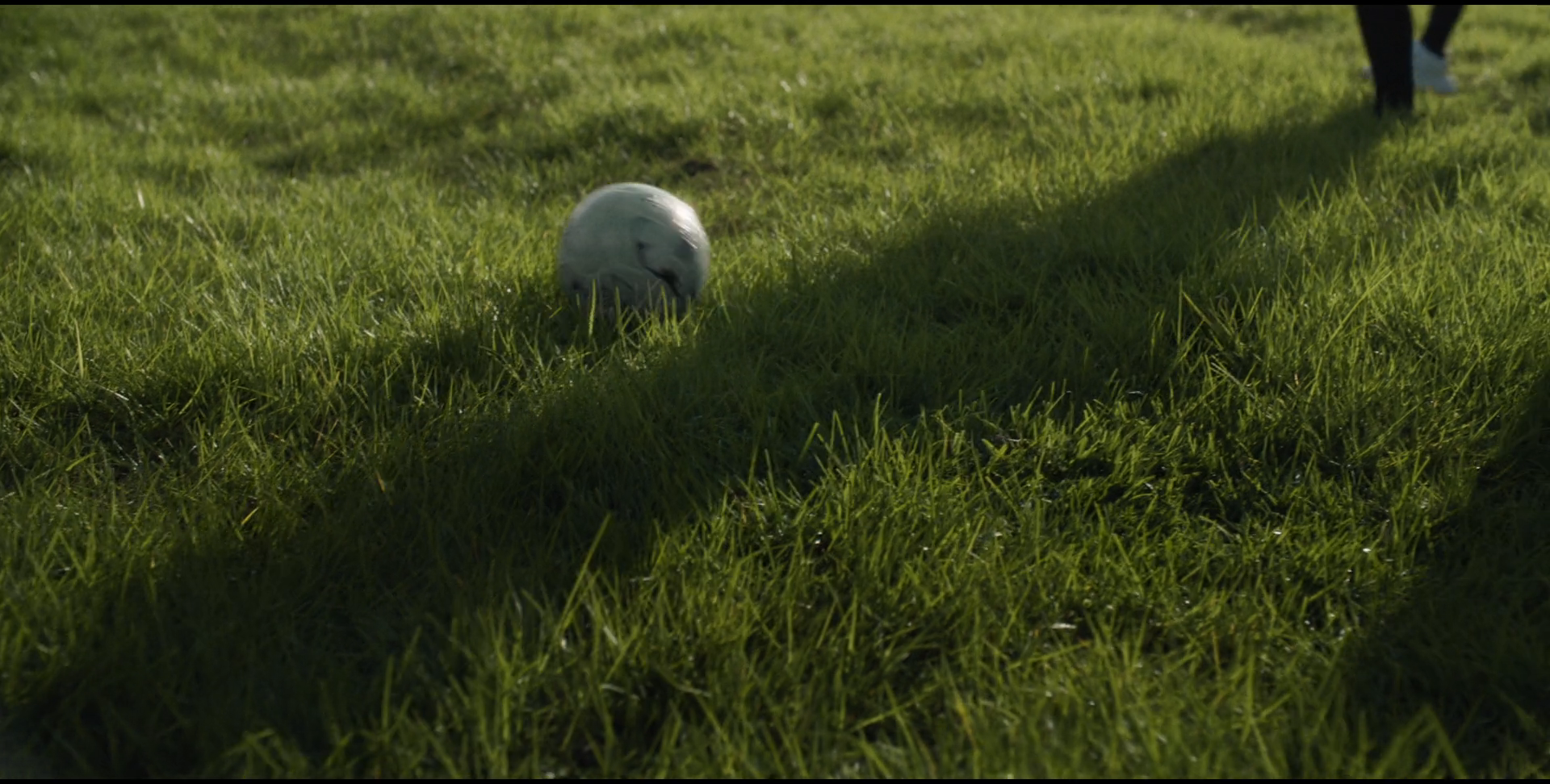 Participaction — frame 21