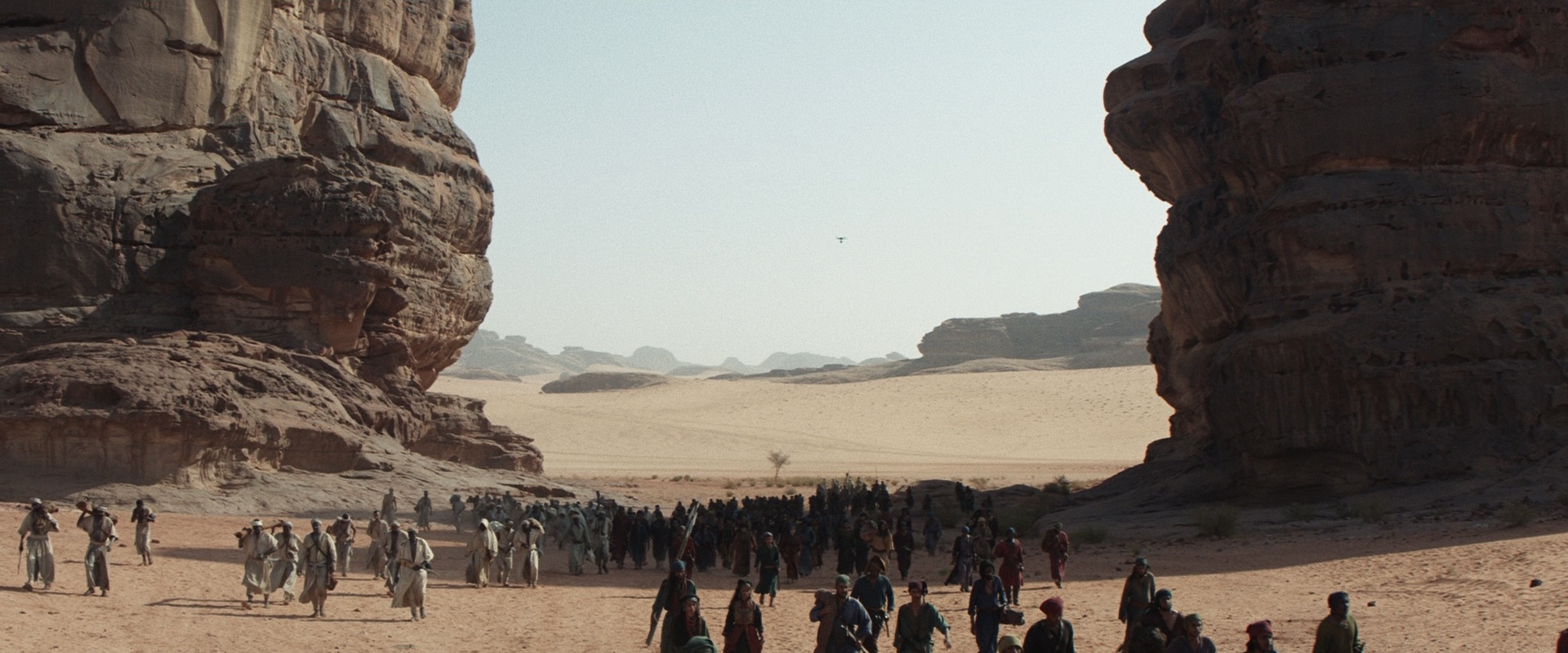 Desert Warrior — frame 4