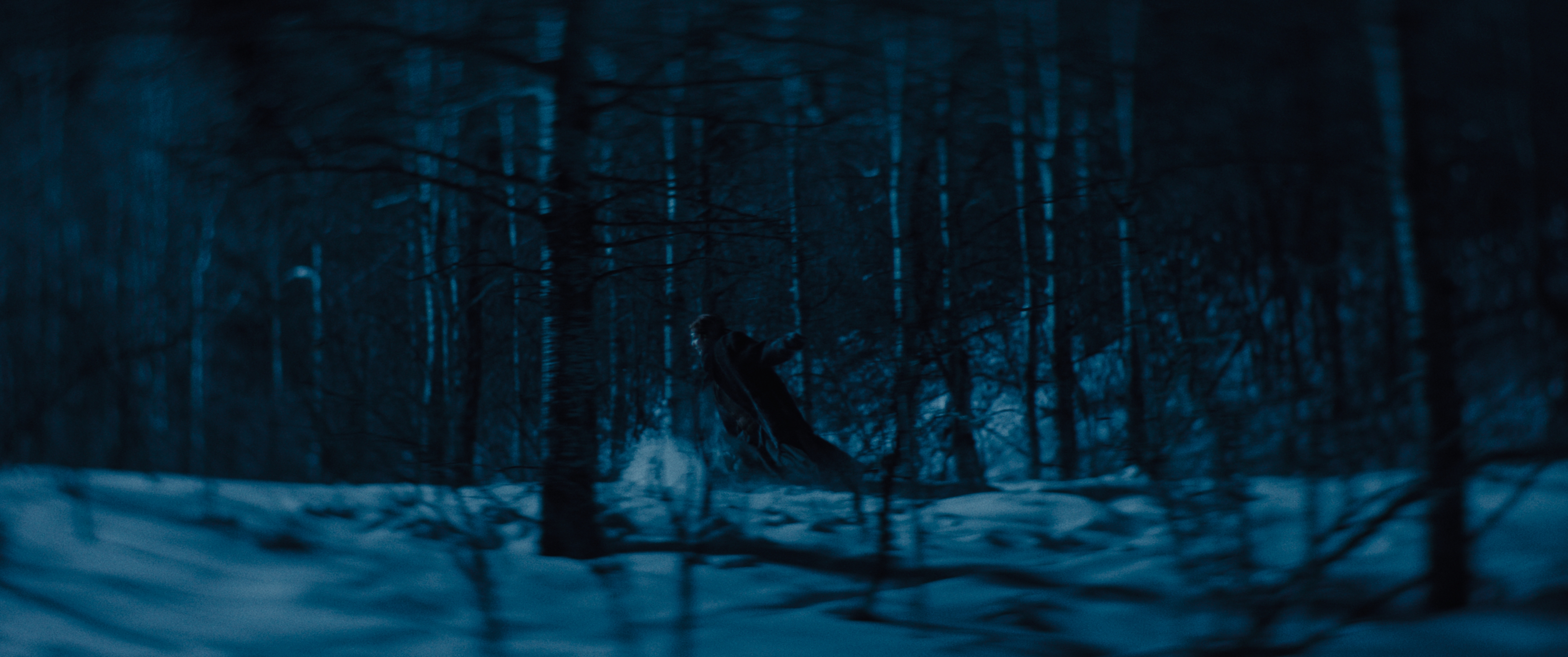 The Thicket — frame 21