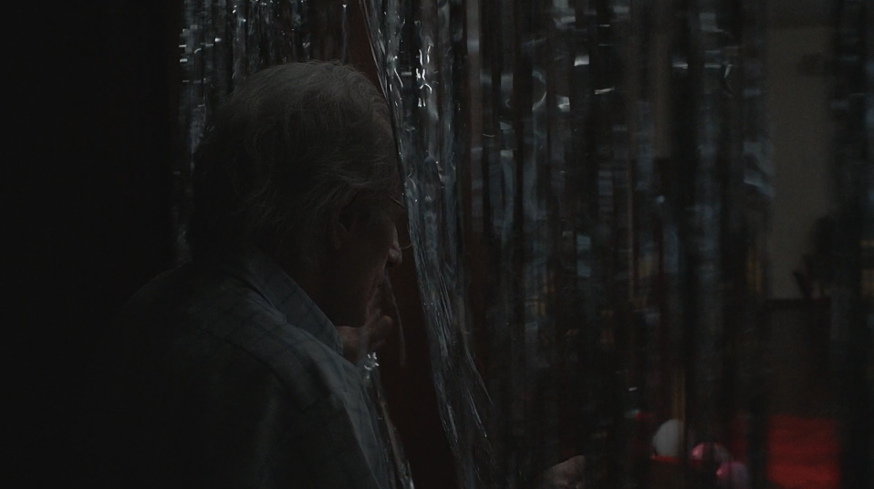 Flores de Acapulco — frame 12