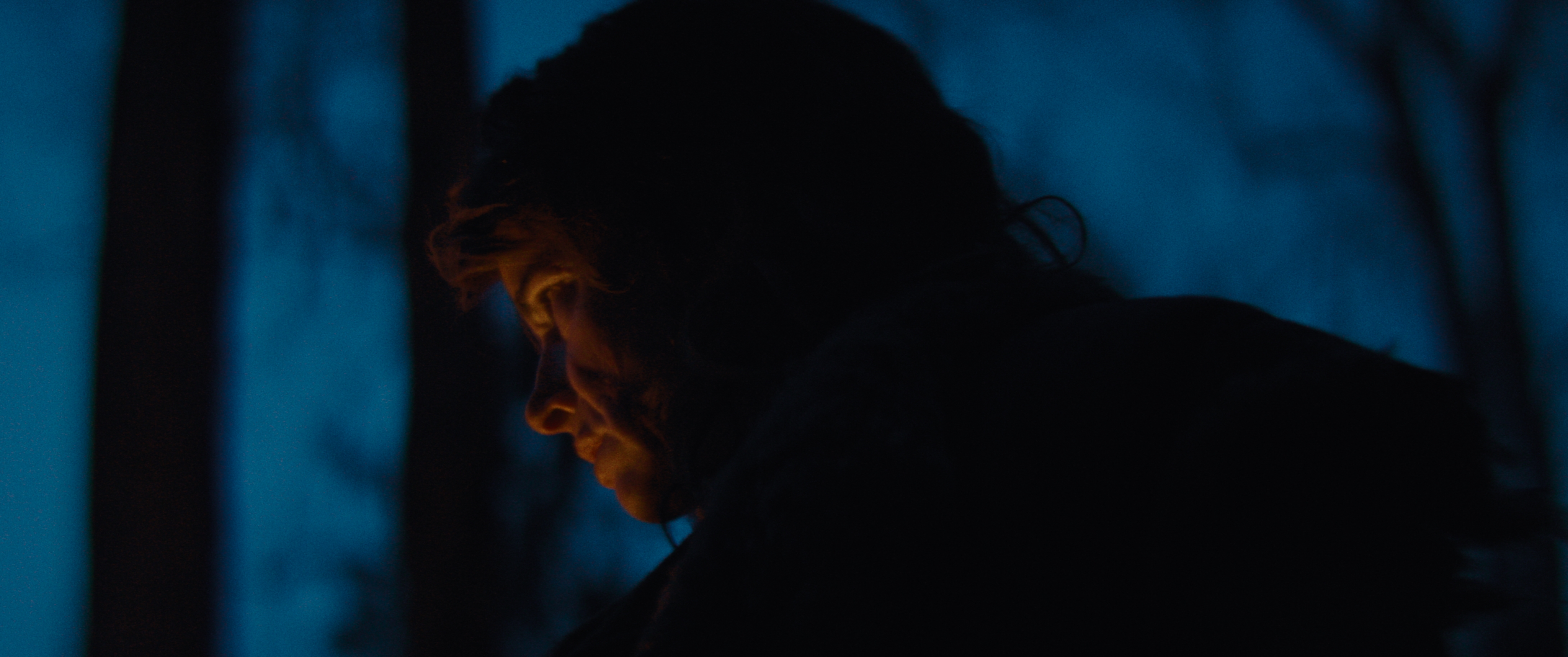 The Thicket — frame 15