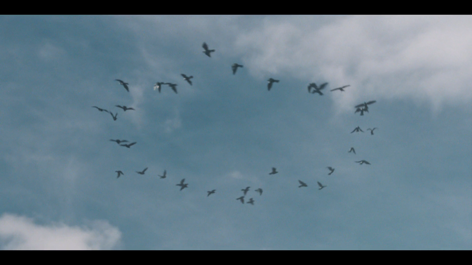 Participaction — frame 1