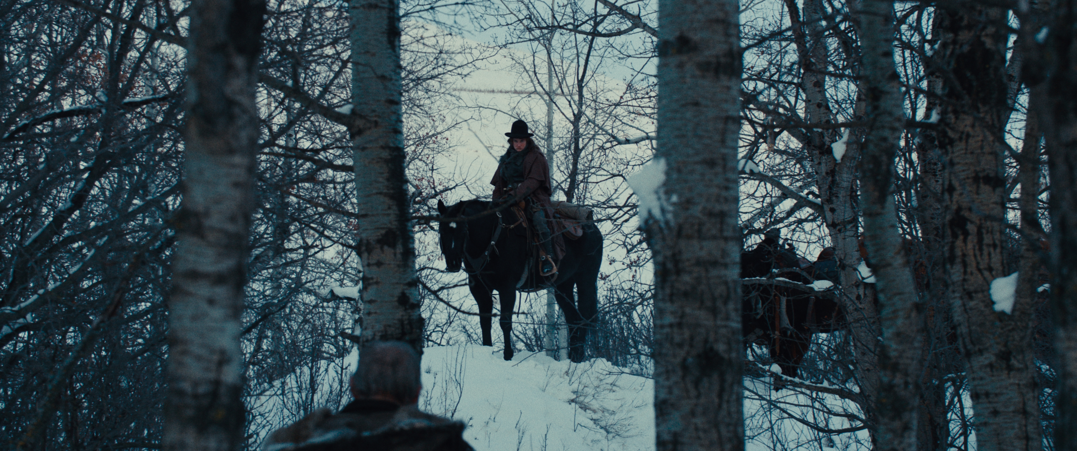 The Thicket — frame 16