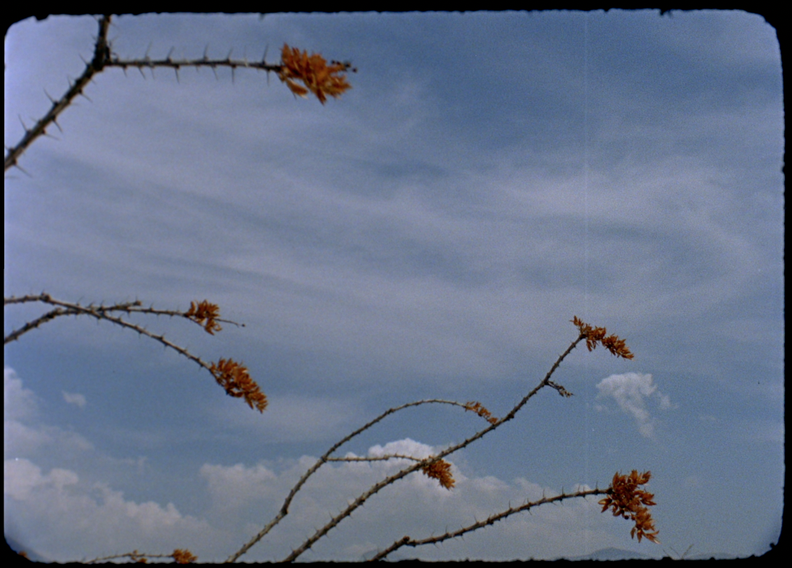 Las Coristas — frame 17