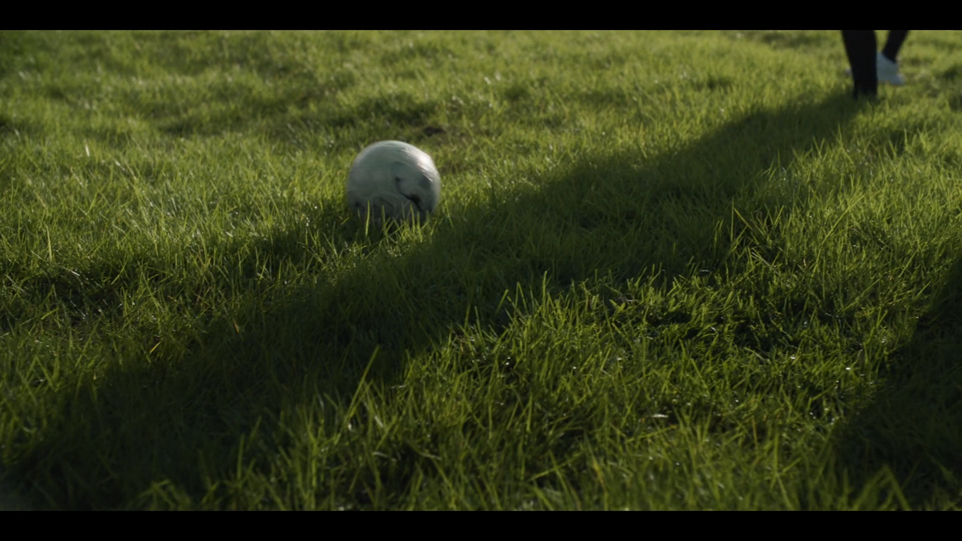 Participaction — frame 21