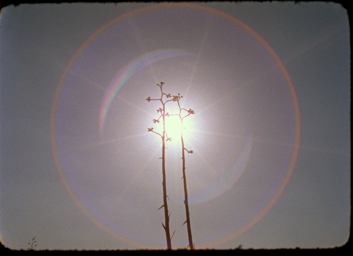 Las Coristas — frame 5