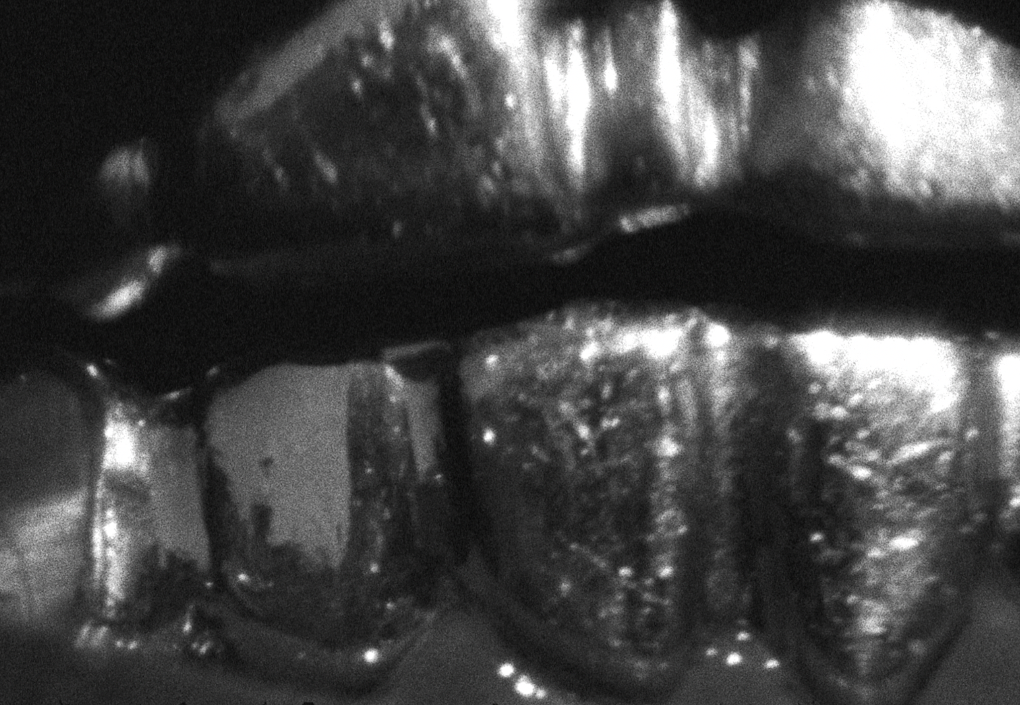 Maxo - 48 — frame 2