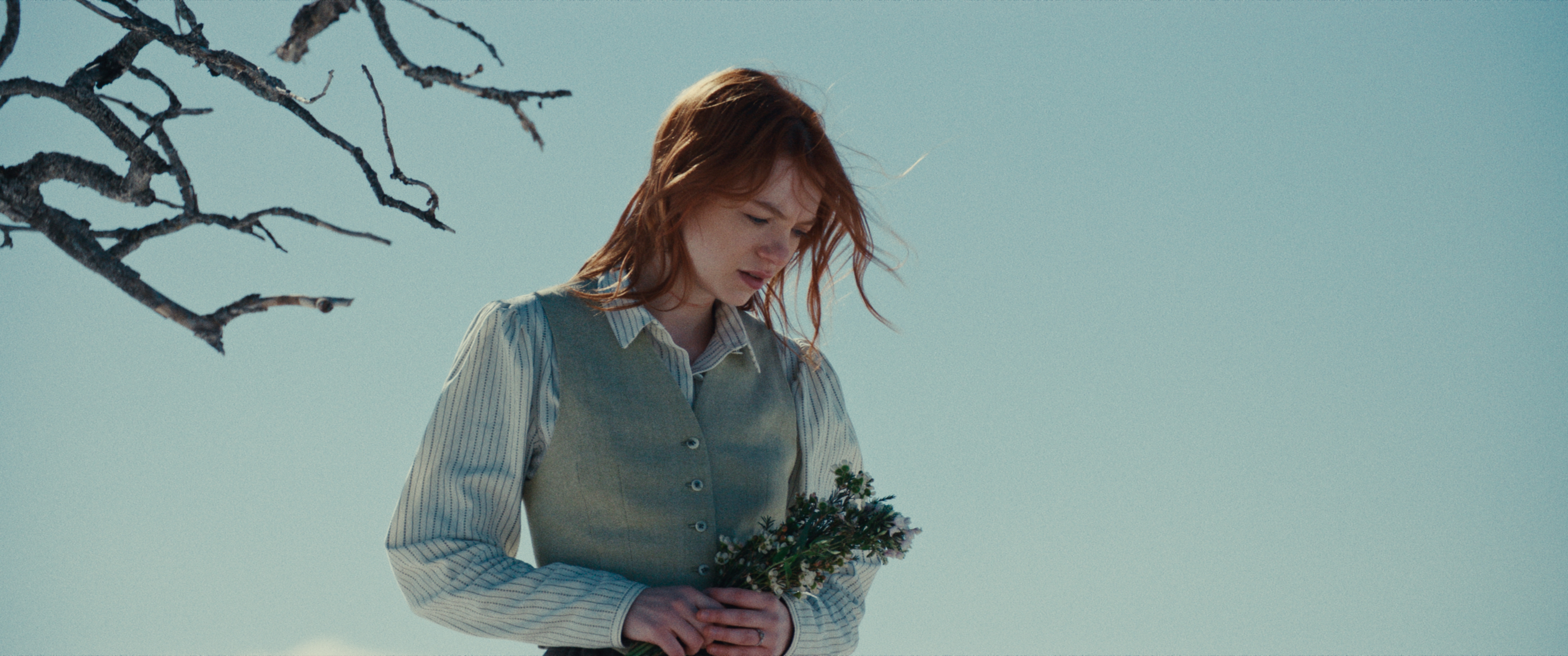 The Thicket — frame 3